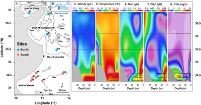 Prokaryotic Diversity and Distribution Along Physical and Nutrient Gradients in the Tunisian Coastal Waters (South Mediterranean Sea)